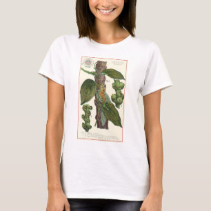 T-shirt Ervas e especiarias alimentares vintage, planta de