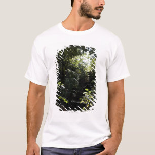 T-shirt Escadaria/passeio rústicos na floresta, luz solar