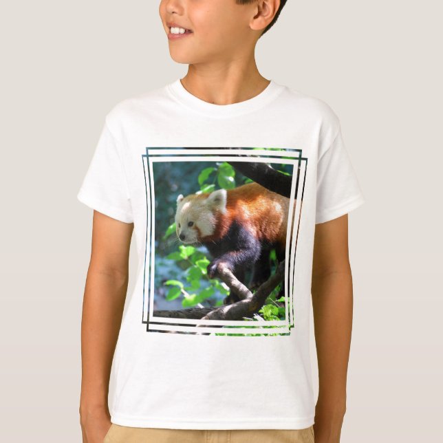 T-shirt Escalada da panda vermelha (Frente)