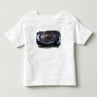 T-shirt Escudo do cone