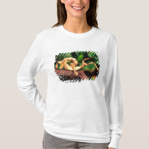 T-shirt Espetro de Macleay (Inseto-Pau Espinhoso),