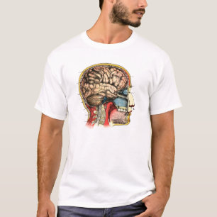 T-shirt Espinha cervical do crânio do cérebro humano