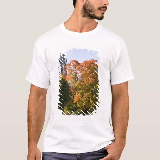 T-shirt Estacione ao lado do Edifício do Parlamento em Ott (Frente)