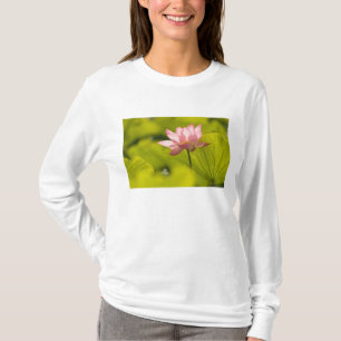 T-shirt Estados Unidos, DC, Washington, Kenilworth 2