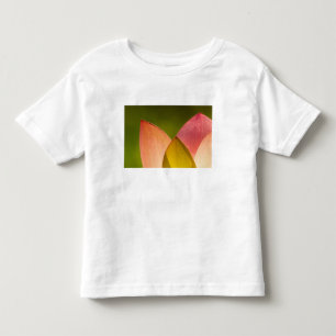 T-shirt Estados Unidos, DC, Washington, Kenilworth 3