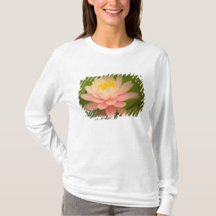 T-shirt Estados Unidos, Maryland, Westminster, Union