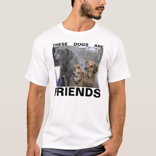 T-SHIRT ESTES CÃES SÃO AMIGOS (Frente)