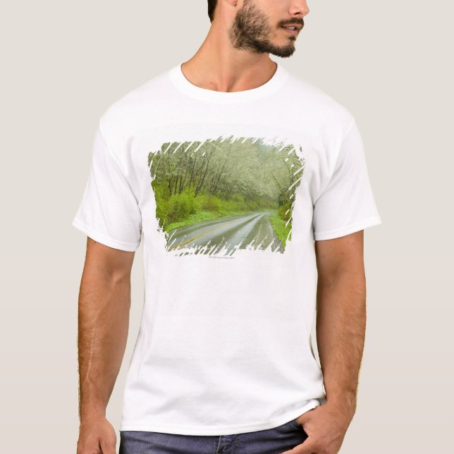 T-shirt Estrada remota através da floresta (Frente)