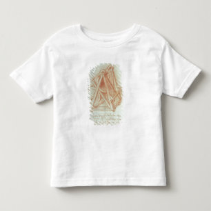 T-shirt Estudo da estrutura de madeira com carcaça
