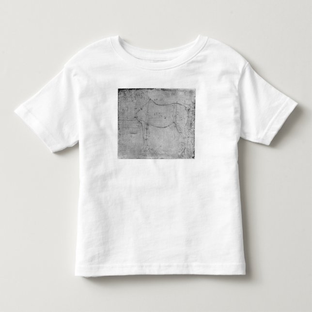T-shirt Estudo de um cavalo (Frente)