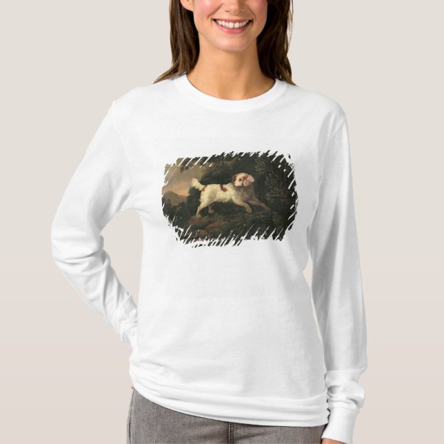 T-shirt Estudo do Spaniel de Clumber (Frente)