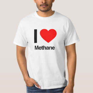 T-shirt eu amo o metano