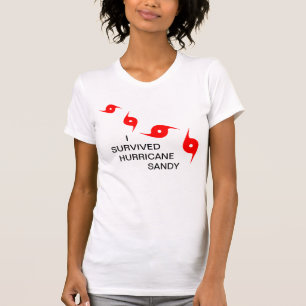 T-SHIRT EU SOBREVIVI AO FURACÃO SANDY