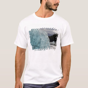 T-shirt EUA, Alasca, Floresta Nacional Tongass, Tracy 2