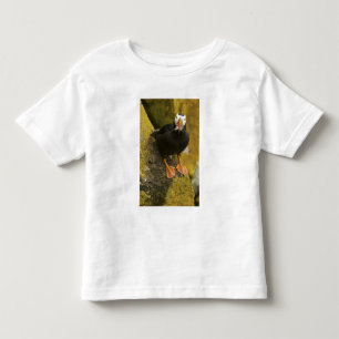 T-shirt EUA, Alasca, Ilhas Pribilof, St Paul. Tufted