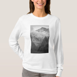 T-shirt EUA, Alasca, Juneau, Floresta tropical cobre fiord