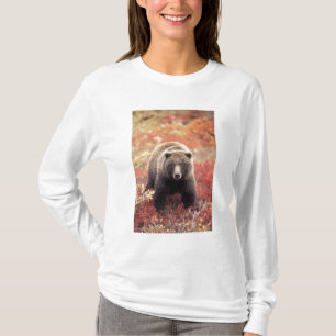T-shirt EUA, Alasca, Parque Nacional Denali, urso-pardo fê