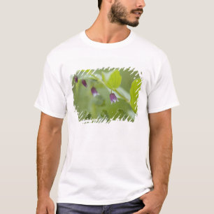 T-shirt EUA, Alasca, Parque Nacional Glacier Bay.