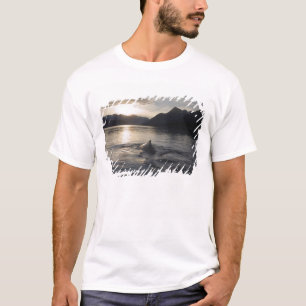 T-shirt EUA, Alasca, Parque Nacional Glacier Bay,