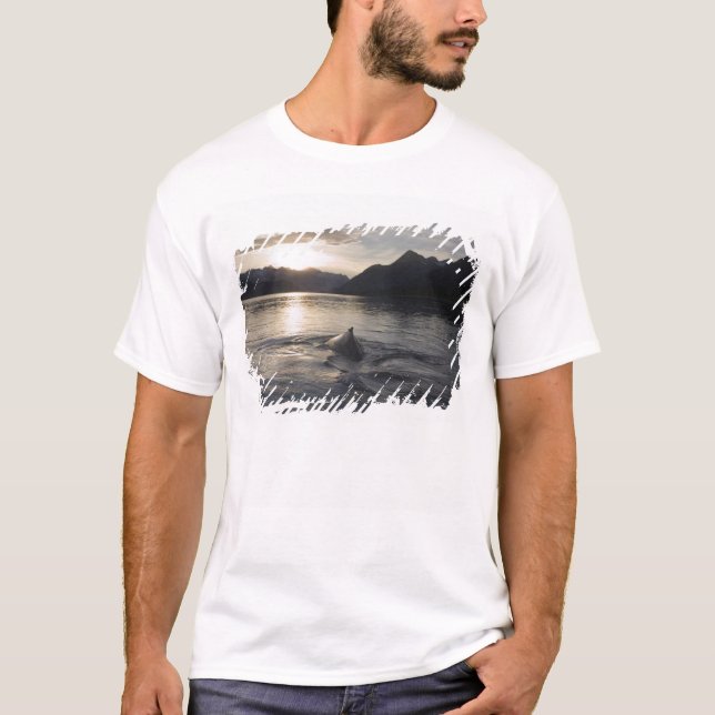 T-shirt EUA, Alasca, Parque Nacional Glacier Bay, (Frente)