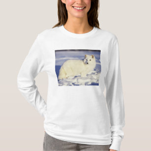 T-shirt EUA, Alasca. Raposa ártica com pelagem de inverno