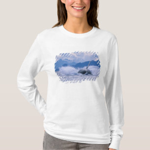 T-shirt EUA, Alaska, Floresta Nacional de Tongass, Humpbac
