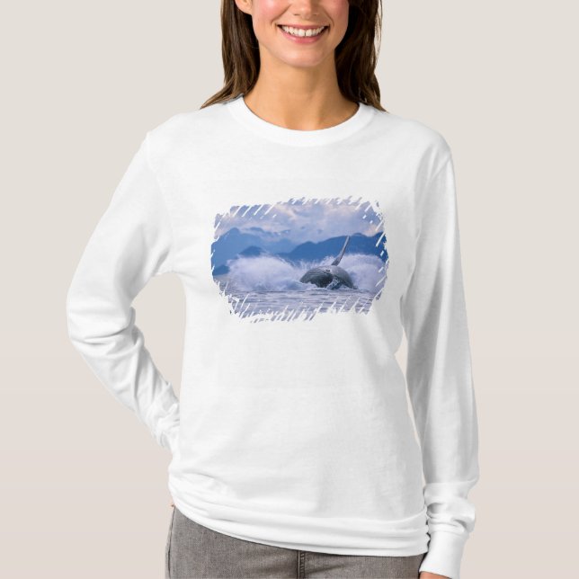 T-shirt EUA, Alaska, Floresta Nacional de Tongass, Humpbac (Frente)