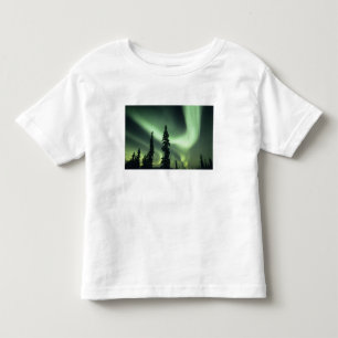 T-shirt EUA, área de Fairbanks, Alaska Central, Aurora 2