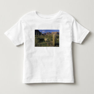T-shirt EUA, Arizona, Monumento Nacional Organ Pipe.