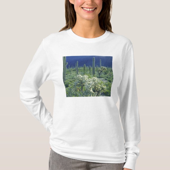 T-shirt EUA, Arizona, Organ Pipe Cactus National (Frente)