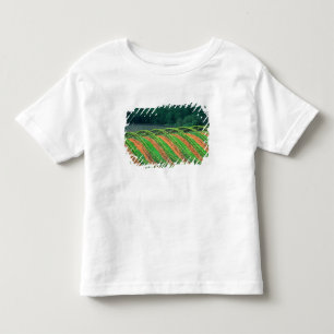 T-shirt EUA, Califórnia, Condado de Mendocino, uma emparre