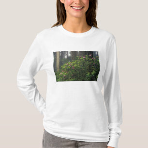 T-shirt EUA, Califórnia, Del Norte, Redwoods St. Park,