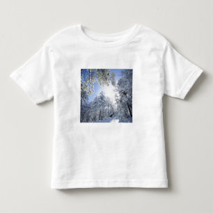 T-shirt EUA, Califórnia, Floresta Nacional de Cleveland,