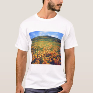 T-shirt EUA, Califórnia, Lake Elsinore. Califórnia