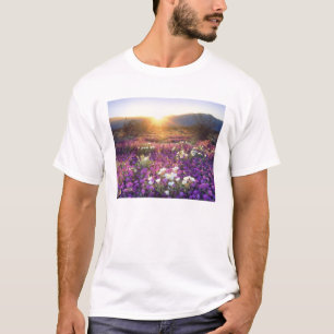 T-shirt EUA, Califórnia, Parque Estadual do Deserto de Anz