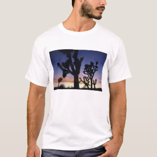 T-shirt EUA, Califórnia, Parque Nacional da Árvore de Josu