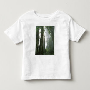 T-shirt EUA, Califórnia, Parque Nacional Redwood,