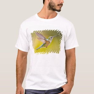 T-shirt EUA, Colorado, Condado de Summit, Heeney. Vista la