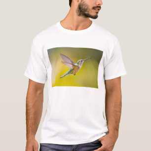 T-shirt EUA, Colorado, Condado de Summit, Heeney. Vista la