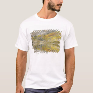 T-shirt EUA, Colorado, Floresta Nacional White River, 2