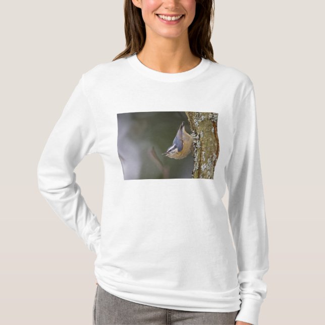 T-shirt EUA, Estado de Washington, Red-Brested Nuthatch, (Frente)
