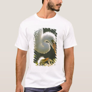 T-shirt EUA, Flórida, St. Augustine, Fazenda de jacarés