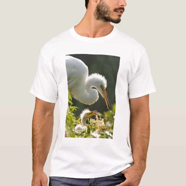 T-shirt EUA, Flórida, St. Augustine, Fazenda de jacarés (Frente)
