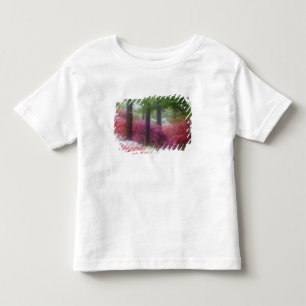 T-shirt EUA; Geórgia; Pine mountain. Azaléias em