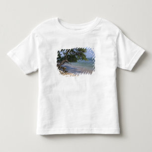 T-shirt EUA, Havaí, Kauai, cena de praia. RF)