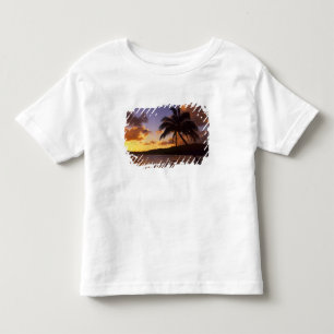 T-shirt EUA, Havaí, Kauai, Nascer do sol colorido em um 2