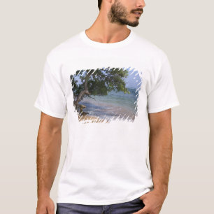 T-shirt EUA, Havaí, Kauai, praia cênica. RF)