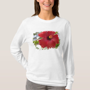 T-shirt EUA, Havaí, Oahu. O Hibiscus é o
