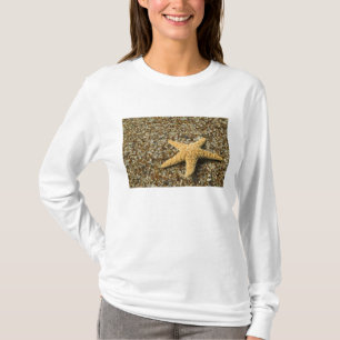 T-shirt EUA, HI, Kauai, Glass Beach com estrela do mar