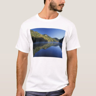 T-shirt EUA, Kentucky. Floresta Nacional Daniel Boone,